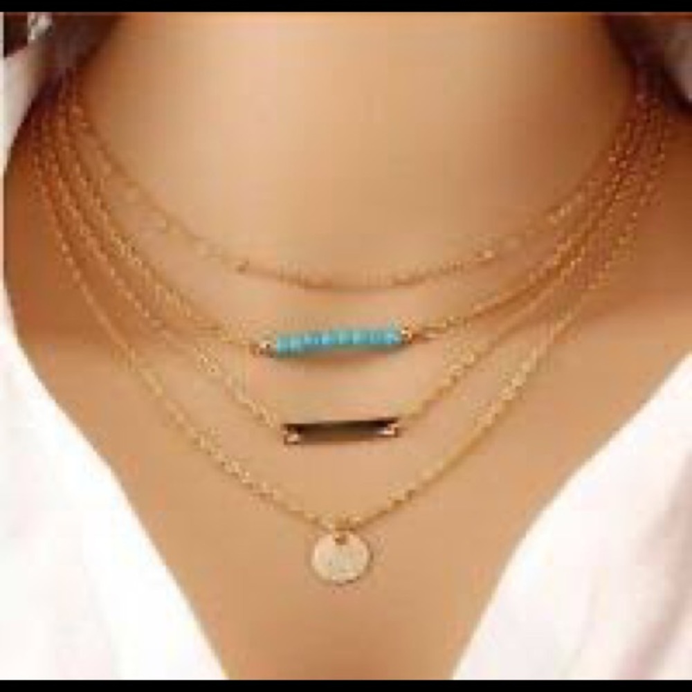 NWT Layered Necklace (dust bag included)